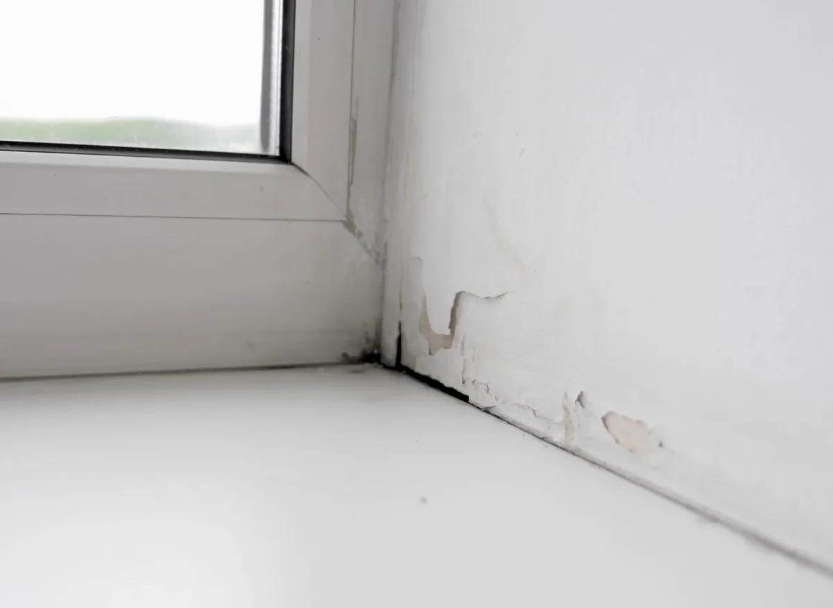 Natuurlijke, effectieve oplossing tegen vocht in huis